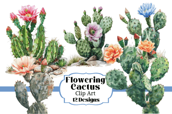 Download 12 Watercolor Flowering Cactus Clipart - Clipart Collection