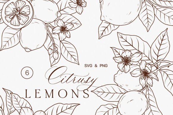 Download Lemon Fruits Line Art Clipart SVG - Lime - Clipart Collection