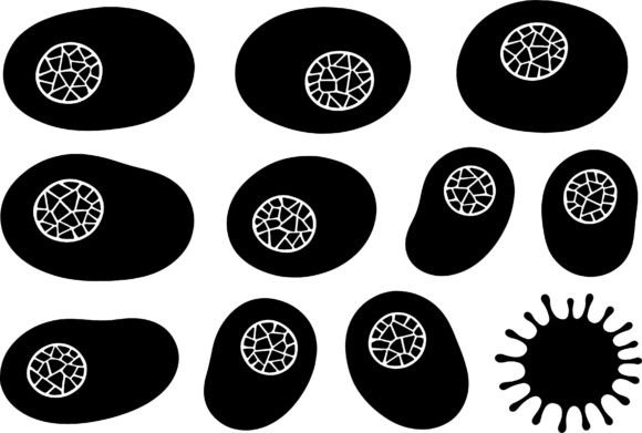 Download Abstract Organic Shapes Black White - Shape Collection