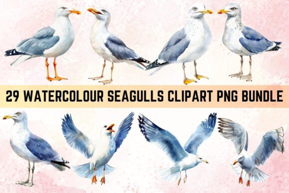 Download Watercolor Seagulls Clipart PNG Bundle - Clipart Collection