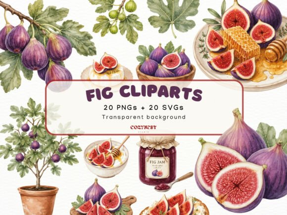 Download Fig Watercolor Cliparts, Botanical PNG - Clipart Collection