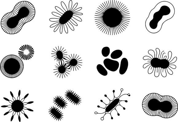 Download Abstract Organic Shapes Clipart Vector - Shape Collection